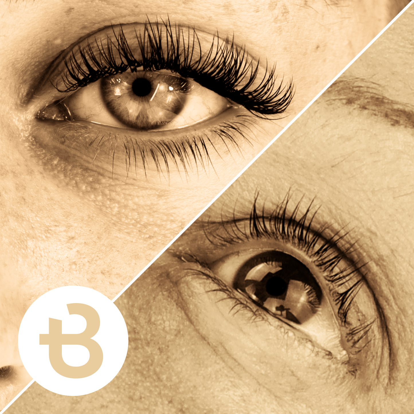 THE 'SILVER' PACKAGE